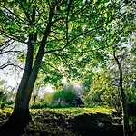 Au Bonheur Nomade * Livry (Calvados)